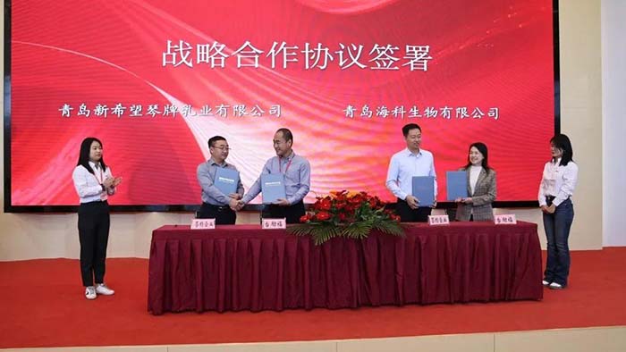 mg冰球突破(中国)官方网站